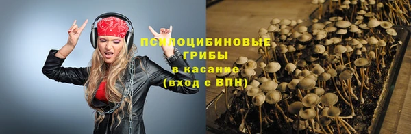 spice Надым