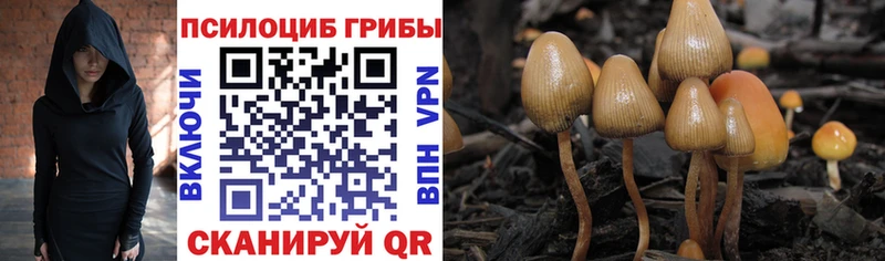 Псилоцибиновые грибы ЛСД  Реж 