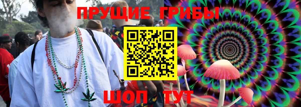 Псилоцибиновые грибы Psilocybine cubensis Реж