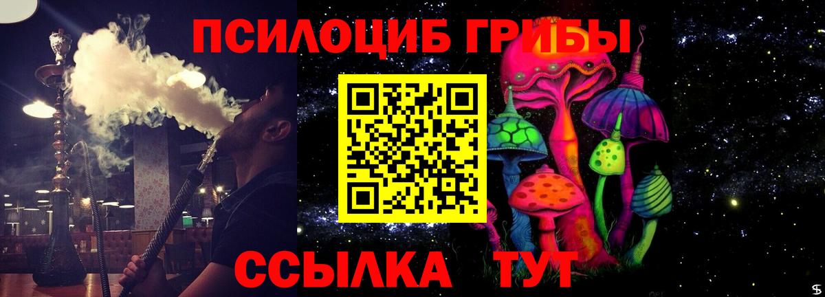 Реж  Псилоцибиновые грибы мицелий  Вход с VPN 